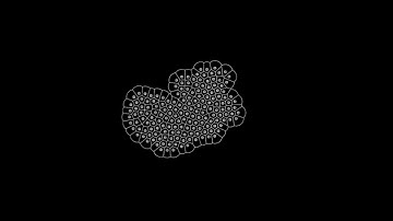 Cellular Division 2.0 - Rigid Core Structure - Urbanism Concept - Rhino - Grasshopper - Anemone