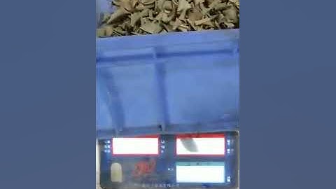 Single head linear weigher for bay leaves operation video from Wilpac
