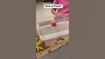 Sink or Float Predictions #afterschool #excel #dalisha #science #STEM