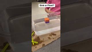 Sink or Float Predictions #afterschool #excel #dalisha #science #STEM