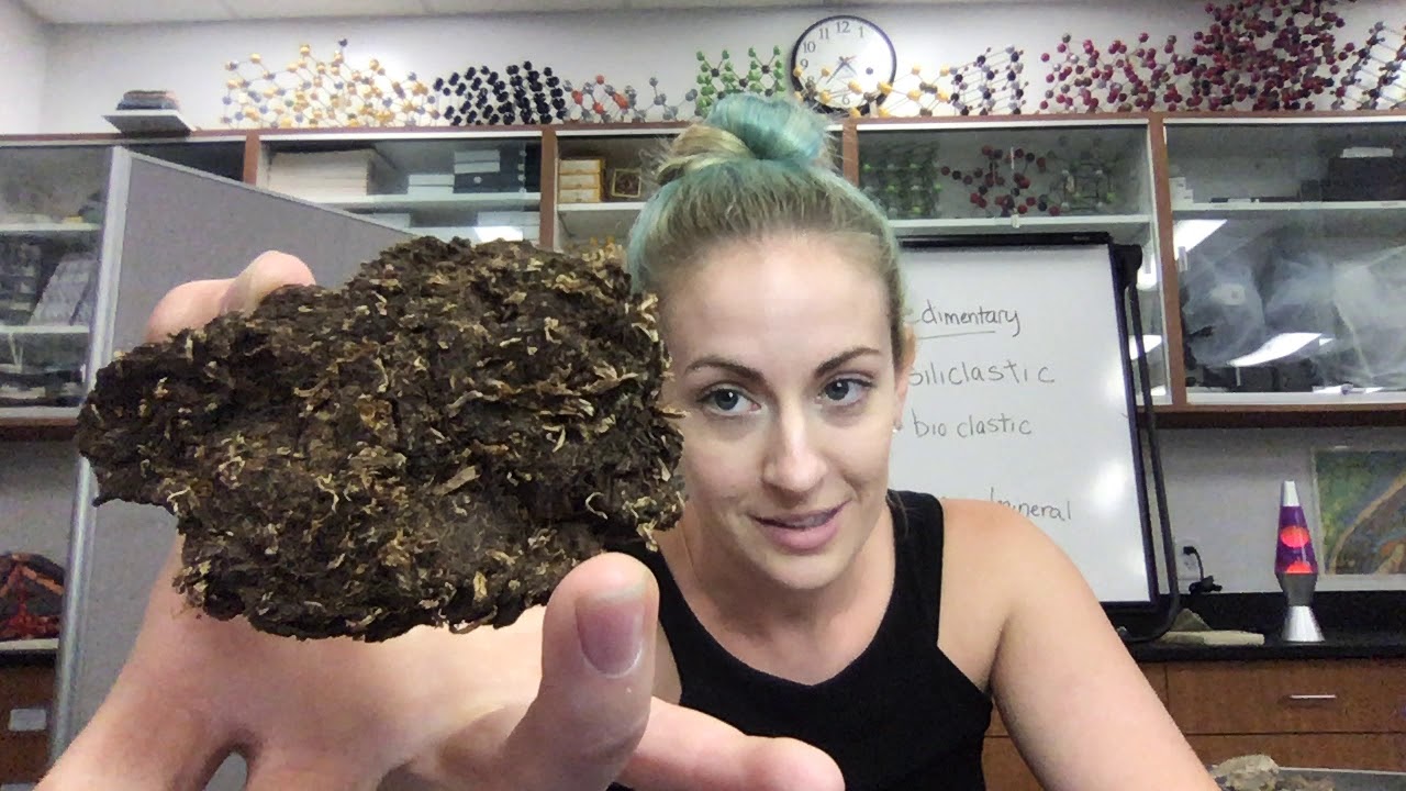 Bioclastic Sedimentary Rocks