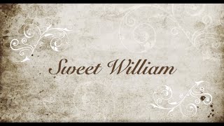 Sweet William - Michael Pennington is Shakespeare