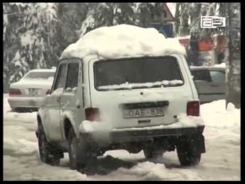 დიდთოვლობამ პრობლემები შექმნა ხელვაჩაურის მუნიციპალიტეტში