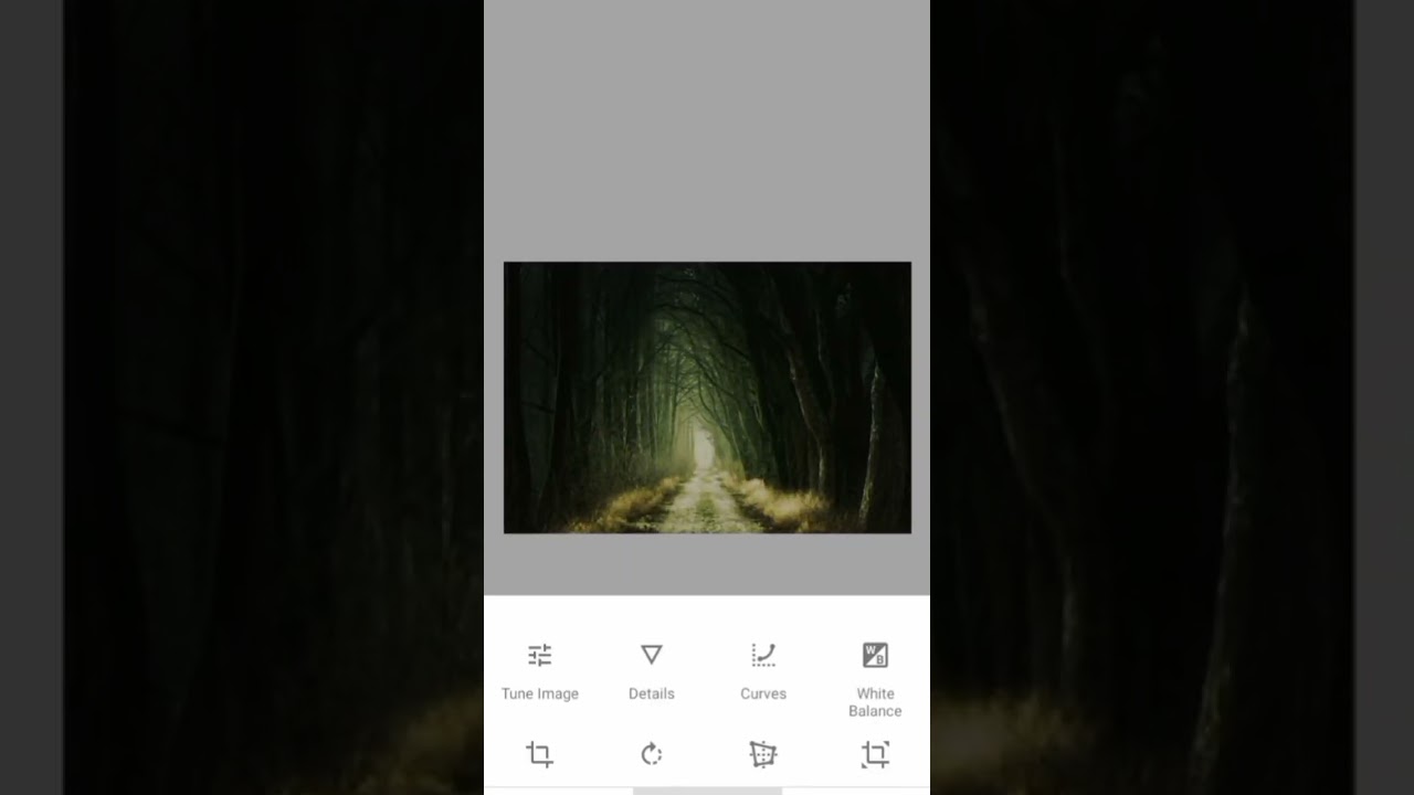 3 Proven Ways to Increase Brightness with Snapseed