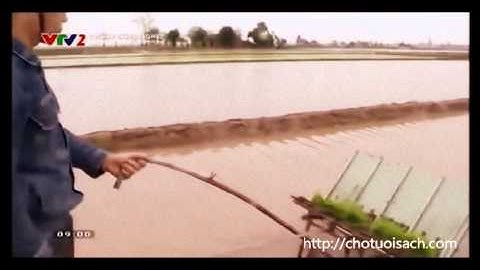 TháiBình: Nông dân chế tạo máy cấy lúa ko động cơ