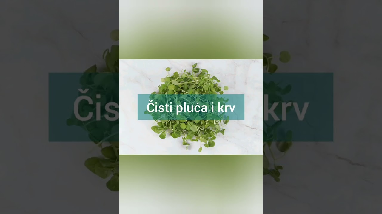 Najzdravija biljka na svetu