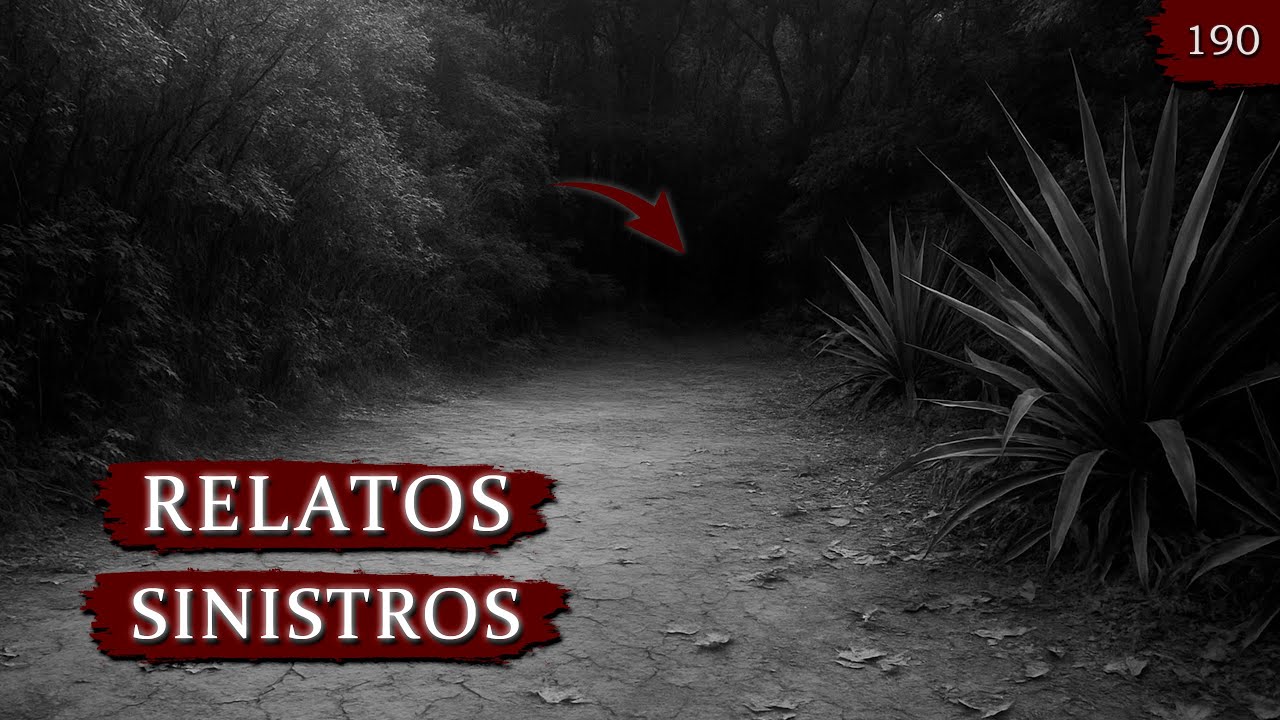 3 HISTÓRIAS DE TERROR PERTURBADORAS | RELATOS REAIS EP. 190