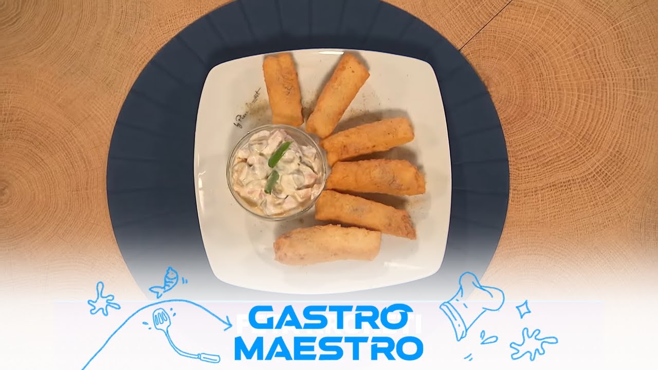 Gastro Maestro | Bojana Stamenov | TV DR