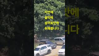 #차박#노지캠핑#여행#천악#대덕교