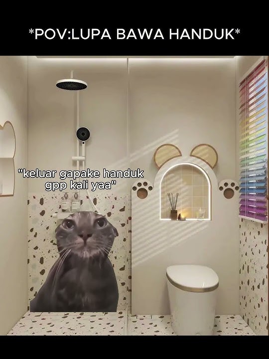 POV : LUPA BAWA HANDUK #kucinglucu #memekucing #memecatsviral #kartuntempel #funny #videokucing