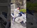 ktm tiktok viral video || Bike lover ktm viral video 😍😍😍😍 #youtubeshorts #shorts