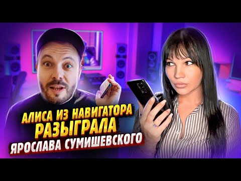 Алиса из навигатора общается с Ярославом Сумишевским