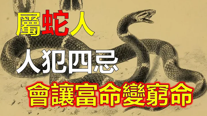 屬蛇的人很有魄力，而且有勇有謀，屬蛇人頗受領導的欣賞和眷顧。屬蛇人到了2023年下半年財氣大旺！在財運上，正財偏財都暴發，賺錢多，屬蛇的朋友在2023年下半年不缺金錢，十二生肖，生肖運勢（生肖蛇） - 天天要聞