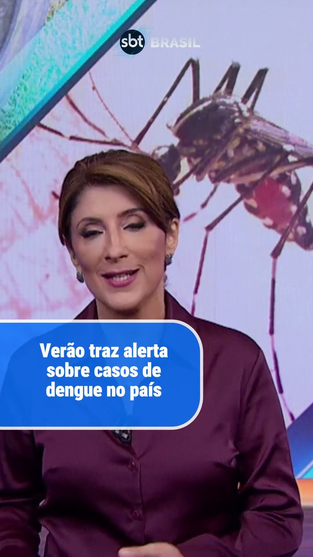 Dengue matou mais de 6 mil pessoas no Brasil em 2024 | SBT Brasil (02/01/25)