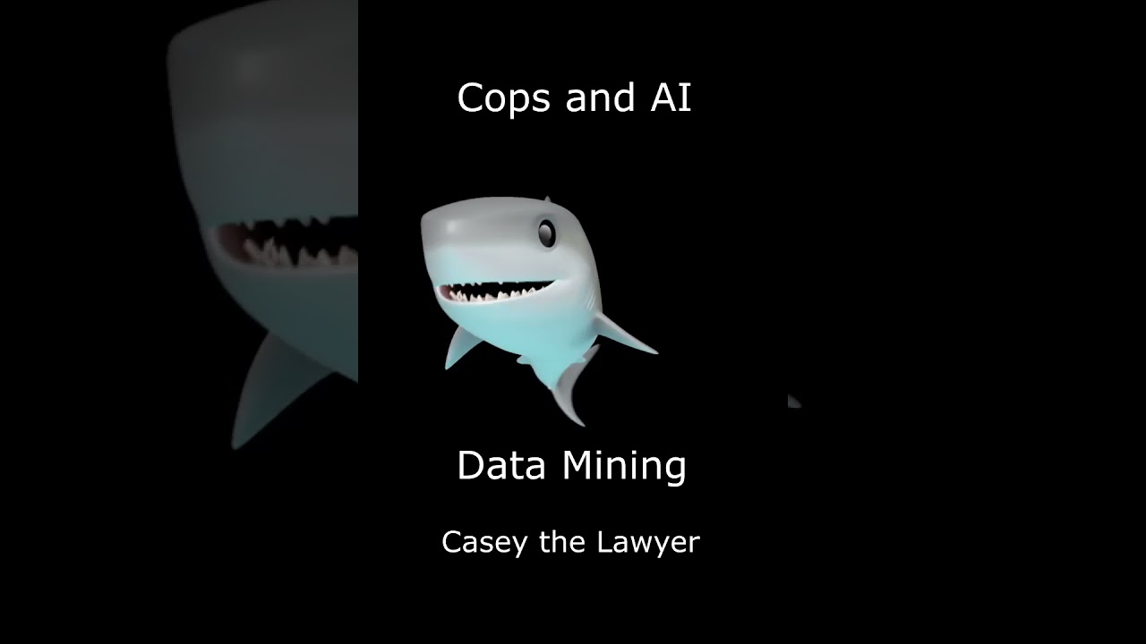 Data Mining, Pattern Recognition, Cops, and AI 7
