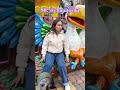 dogi ketakutan#dog#animals #magic