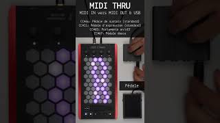 🇫🇷 Clavier Exquis (2.2.0) - Connecter une pédale de sustain/expression (MIDI THRU)