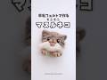 世界最古の猫マヌルネコの目ってどうやって作る？#羊毛フェルト #マヌルネコ #猫