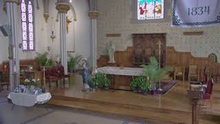 The Solemnity of the Most Holy Trinity