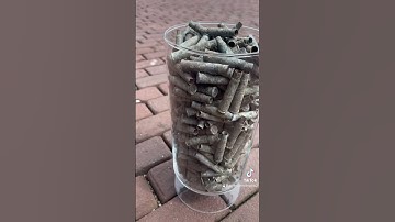 WW2 Empty bullet casings metaldetecting