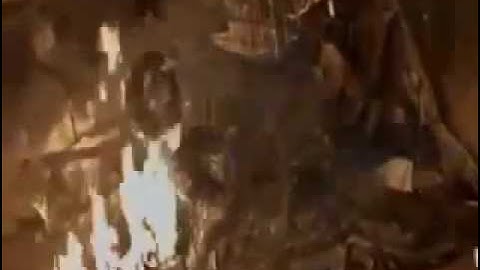 Terminator 3 I