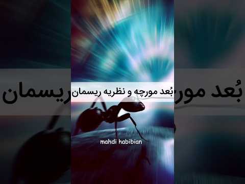 ب عد مورچه و نظریه ریسمان نظریه ریسمان ابعاد علم  علمی