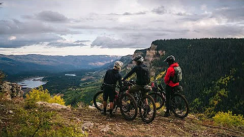 [Full Film] Usufruct: A Biking Story About Beetles...