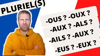 Le pluriel des noms et adjectifs en français   exercice