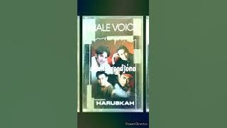 Haruskah - Male Voice