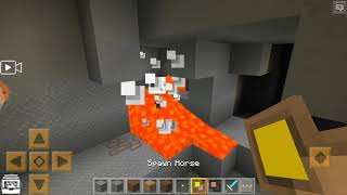 I Put 1 Villager And 1 Horse In The Lava In Minecraft