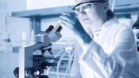 Veritas Lab Drug Testing Urine   Hair Follicle   EtG   Explained   FAQ