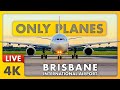 🔴 LIVE! SUNDAY FUNDAY Plane Spotting at BNE w/ ATC | Brisbane International Airport, Australia ✈️