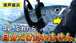 南芦屋浜でサビキ釣り　極太サバを釣りましょう！（四季の釣り/2026年5月1日放送）