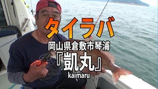 KAIMARU･凱丸・岡山県琴浦港・タイラバ【オフショアマガジン】