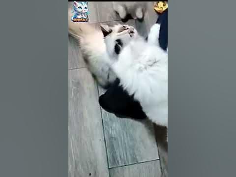 Video best moments. Video best moments. канал best videos. Best moments. фортнайт бест моментс.