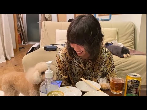犬にマウント取るいっせー