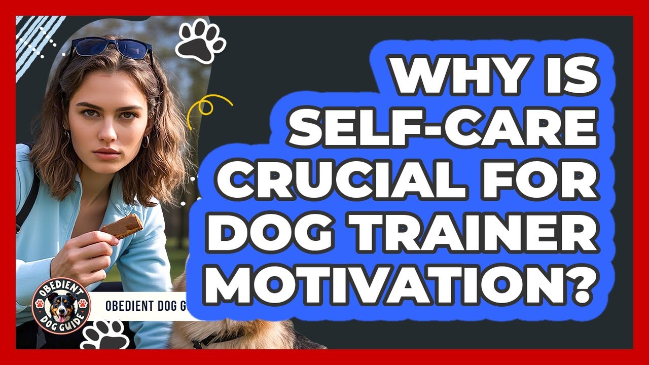 Why Is Self-care Crucial For Dog Trainer Motivation? - Obedient Dog Guide