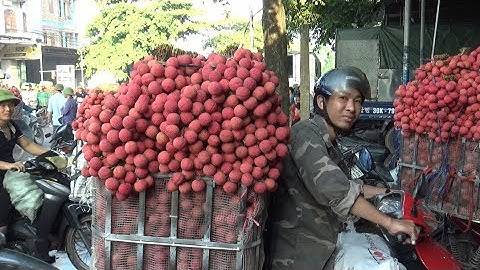 vải thiều lục ngạn giá vải Thanh Hà Vải Muộn mới nhất ngày 28/6/2022 tại ngã Ba Đồng cốc lục ngạn