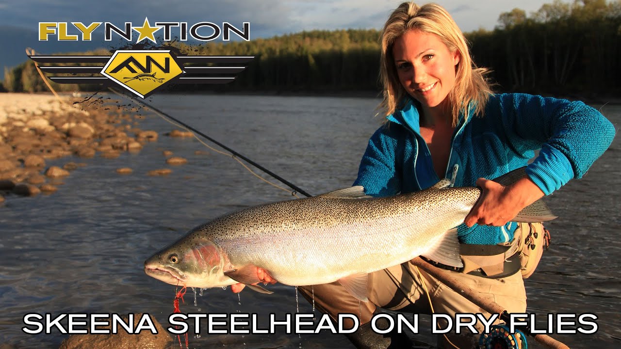 Fly Nation Skeena Steelhead on Dry Flies YouTube