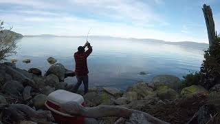 Quest for a Big Lake Tahoe Rainbow (CA)