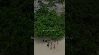 Travelling With Strangers