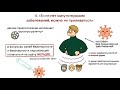 Развенчивание мифов о коронавирусе