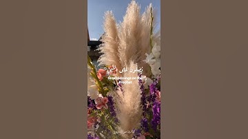 إن الله وملائكته يصلون على النبي | القارئ عمر الدريويز
