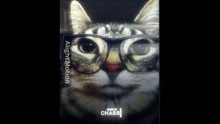 Best Year 2024 2024 trending shorts