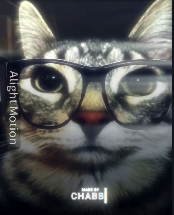 Best year 2024 #2024 #trending #shorts