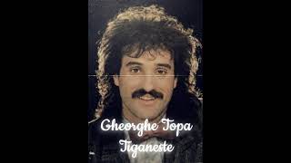 Gheorghe Topa - Tiganeste [Official Audio]