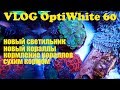 VLOG OptiWhite 60. Новый светильник. Новые кораллы. Кормление кораллов сухим кормом.