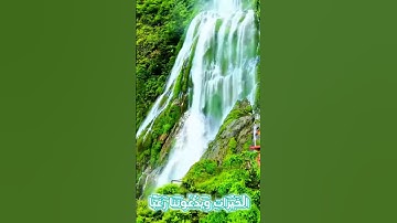 سورة الأنبياء و..كا.نك تسمعها لأ،،و.ل مر.ة 💕💞؛،💘💮❤️💜،،🌹بصوت الشيخ حمزة مد.بو.ح💟؛؛🏵️🌼؛.🌺💞..💘🌼؛🌷