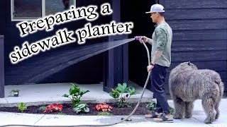 Preparing & planting a concrete sidewalk planter bed by Rachel Vong 272 views 3 years ago 14 minutes, 6 seconds