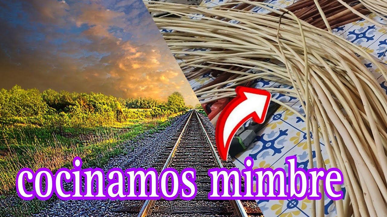Cestería como cocinar Mimbre para  hacer canastito. #mimbre #diy